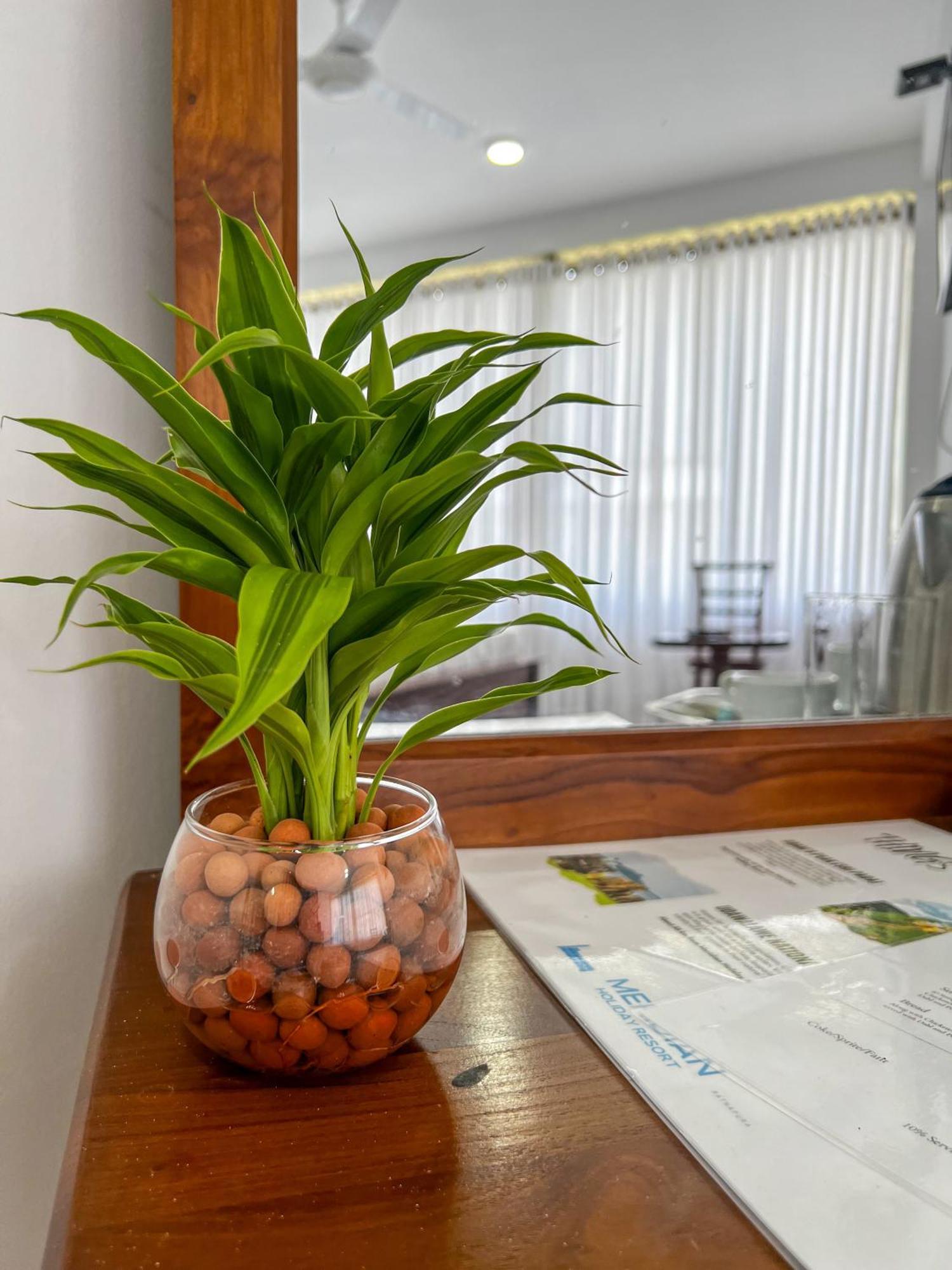 Meridian Holiday Resort Ratnapura Εξωτερικό φωτογραφία